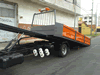 Plataforma con Barandas Volcables